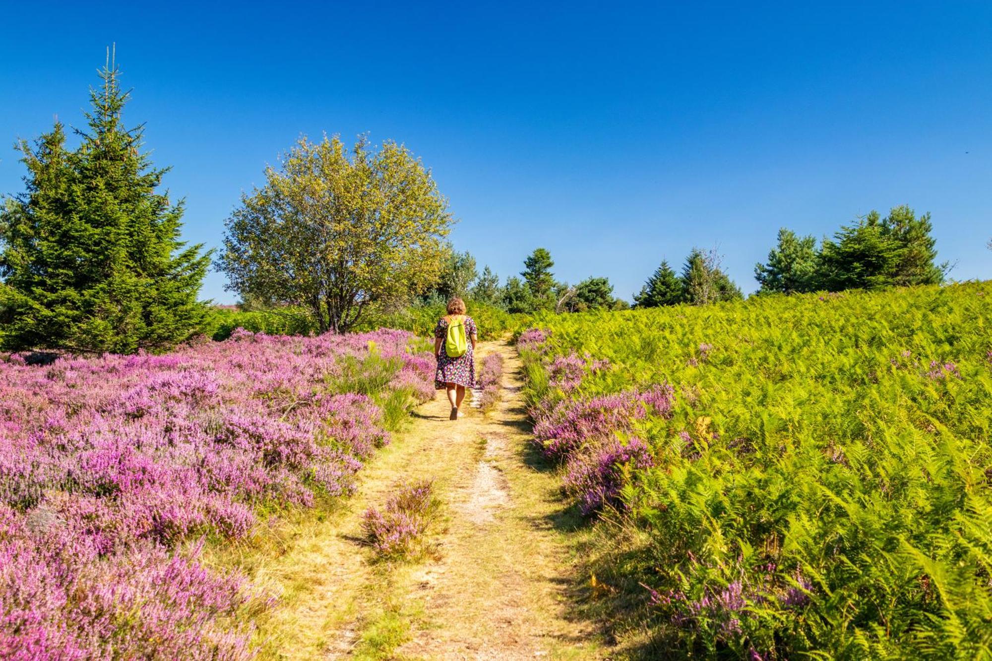 Gites Les Pittoresques Saint-Jean-Saint-Maurice-sur-Loire Εξωτερικό φωτογραφία